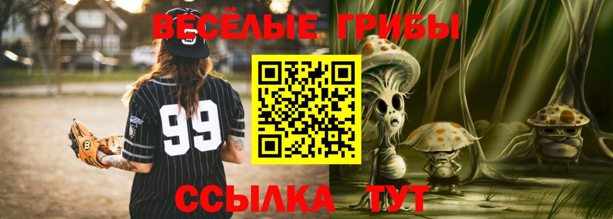 Гусиноозёрск  Псилоцибиновые грибы мухоморы  Вход с VPN  Галлюциногенные грибы Magic Shrooms 